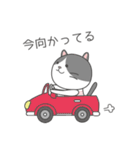 ハチワレネコ ミルちゃんの日常（個別スタンプ：40）