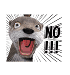Kung Fu Otter（個別スタンプ：2）