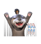 Kung Fu Otter（個別スタンプ：4）
