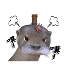 Kung Fu Otter（個別スタンプ：8）