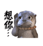 Kung Fu Otter（個別スタンプ：11）