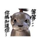 Kung Fu Otter（個別スタンプ：12）
