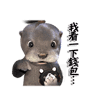 Kung Fu Otter（個別スタンプ：15）
