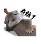 Kung Fu Otter（個別スタンプ：17）