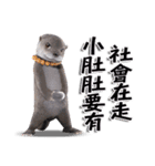 Kung Fu Otter（個別スタンプ：20）