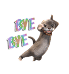Kung Fu Otter（個別スタンプ：23）