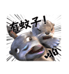 Kung Fu Otter（個別スタンプ：25）
