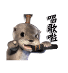 Kung Fu Otter（個別スタンプ：26）