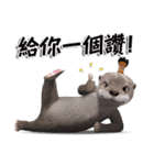 Kung Fu Otter（個別スタンプ：30）