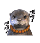 Kung Fu Otter（個別スタンプ：32）