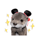 Kung Fu Otter（個別スタンプ：34）