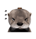 Kung Fu Otter（個別スタンプ：40）
