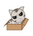 Sharon Ron ＆ The old cat（個別スタンプ：5）