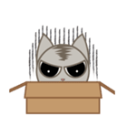 Sharon Ron ＆ The old cat（個別スタンプ：13）