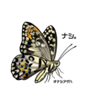 鱗翅目スタンプ〜日本の蝶と蛾〜（個別スタンプ：6）