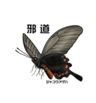 鱗翅目スタンプ〜日本の蝶と蛾〜（個別スタンプ：9）