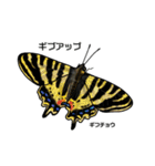 鱗翅目スタンプ〜日本の蝶と蛾〜（個別スタンプ：10）
