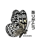 鱗翅目スタンプ〜日本の蝶と蛾〜（個別スタンプ：13）