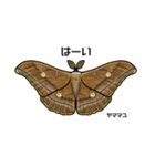 鱗翅目スタンプ〜日本の蝶と蛾〜（個別スタンプ：21）
