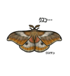 鱗翅目スタンプ〜日本の蝶と蛾〜（個別スタンプ：23）