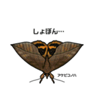 鱗翅目スタンプ〜日本の蝶と蛾〜（個別スタンプ：27）