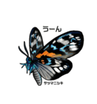 鱗翅目スタンプ〜日本の蝶と蛾〜（個別スタンプ：29）