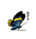 鱗翅目スタンプ〜日本の蝶と蛾〜（個別スタンプ：30）