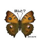 鱗翅目スタンプ〜日本の蝶と蛾〜（個別スタンプ：37）