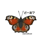 鱗翅目スタンプ〜日本の蝶と蛾〜（個別スタンプ：39）