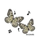 鱗翅目スタンプ〜日本の蝶と蛾〜（個別スタンプ：40）