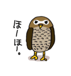 お絵描きアニマル（個別スタンプ：1）