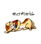 小吉くん（個別スタンプ：27）