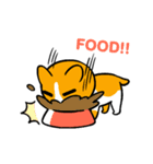 Cori's happy life（個別スタンプ：6）
