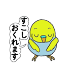 インコのきき（個別スタンプ：4）