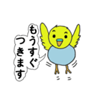 インコのきき（個別スタンプ：5）