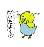 インコのきき（個別スタンプ：6）