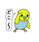 インコのきき（個別スタンプ：7）