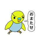 インコのきき（個別スタンプ：9）