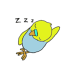 インコのきき（個別スタンプ：10）