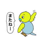 インコのきき（個別スタンプ：13）