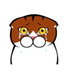 つちおくん（個別スタンプ：37）