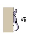 Two squirrels（個別スタンプ：23）