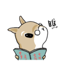 Two squirrels（個別スタンプ：24）