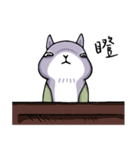 Two squirrels（個別スタンプ：28）