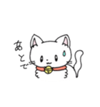 もふもふねこのシロさん（個別スタンプ：1）