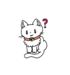 もふもふねこのシロさん（個別スタンプ：11）