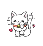 もふもふねこのシロさん（個別スタンプ：13）