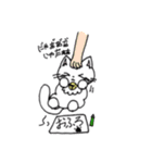 もふもふねこのシロさん（個別スタンプ：16）