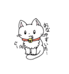 もふもふねこのシロさん（個別スタンプ：17）
