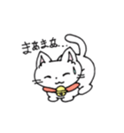 もふもふねこのシロさん（個別スタンプ：20）